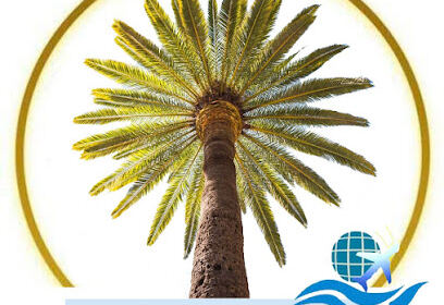 Agence de voyages El Nakhla