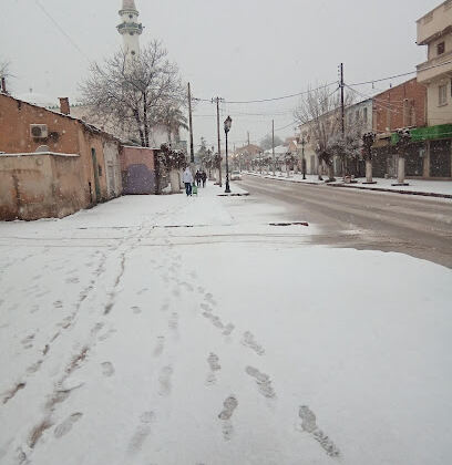 Agence Mobilis Chelghoum laid
