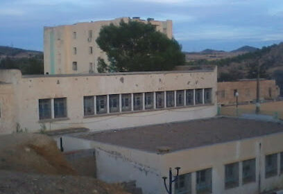 Arab School Altbsa