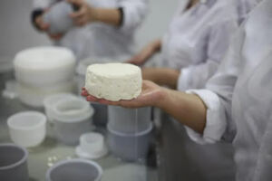 Atelier de fabrication de fromage artisanal TINIRI