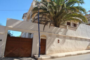 Baghdad tipaza