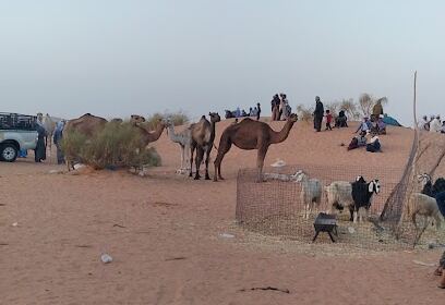 Beni Ounif