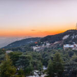 Blida