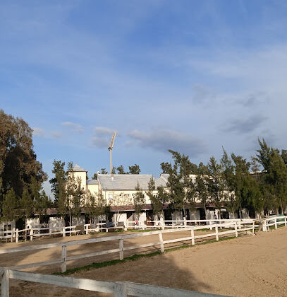 Blida Algérie