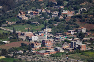Bougara
