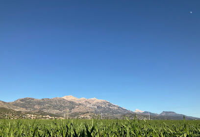 Bouira ville