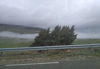 Bouzina
