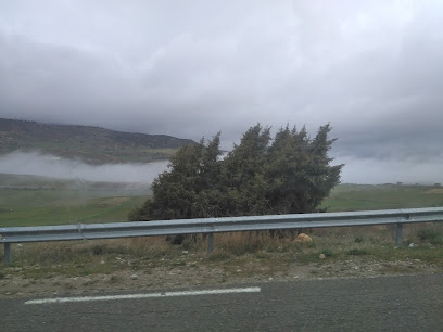 Bouzina