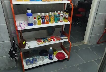 Cabinet veterinaire Dr BECETTI Fouad