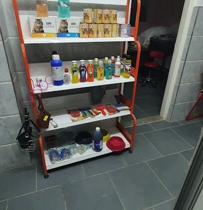 Cabinet veterinaire Dr BECETTI Fouad