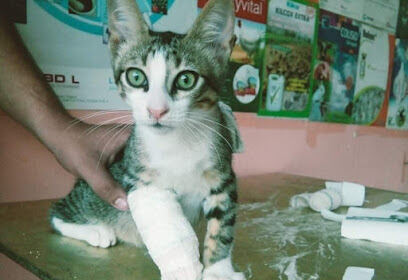 Cabinet veterinaire Dr yassine ameur