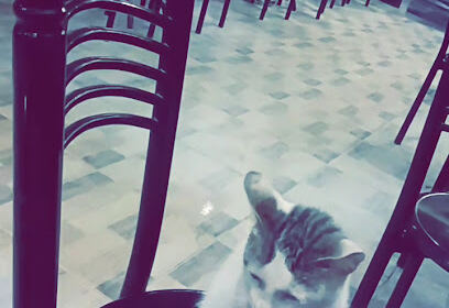Café Abdelli Mourad