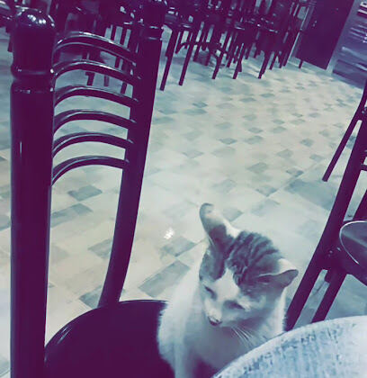 Café Abdelli Mourad