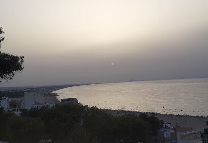 Camp Sonatrach