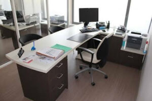 CHAYANI FOUAD COMMISSAIRE AUX COMPTES . EXPERT JUDICIAIRE