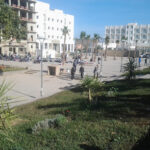 Chettia