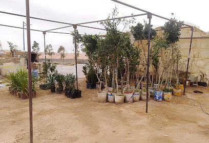 Complexe Environnemental Kenadsa