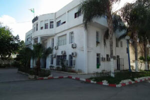 DAIRA OUED EL ALLEUG