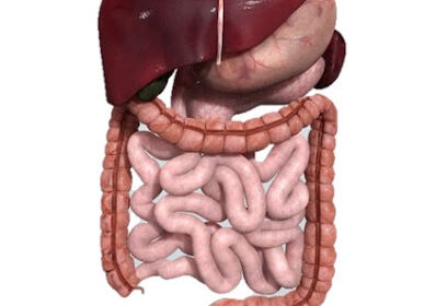 Dr ADDOU, Gastroentérologue
