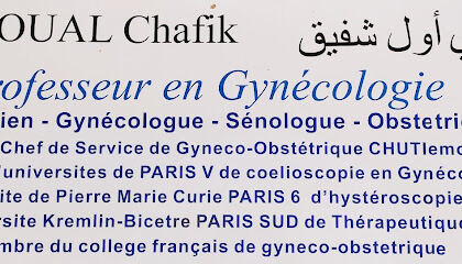 Dr. Chafik Kazi-Aoual