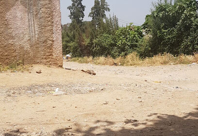 École Primaire Chaabane Ahmed