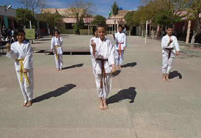 Ecole Primaire Saadi Laaredj ZG