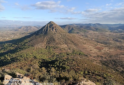 EL Adjiba