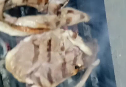 FasT Food and grills Ouled djellal