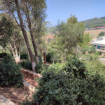 Ferme Ibrahim Monte Bello sidi rached