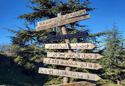 Forêt de Tazarine