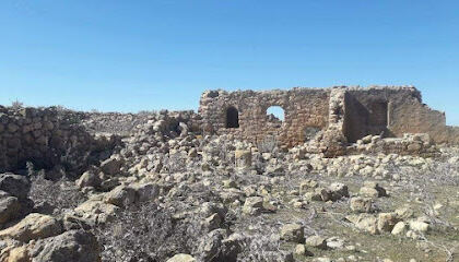 Fort romain timici
