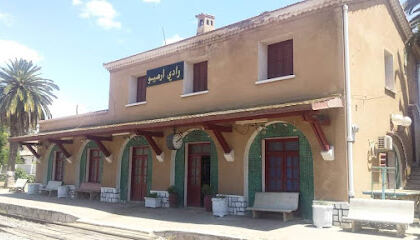 Gare de oued rhiou