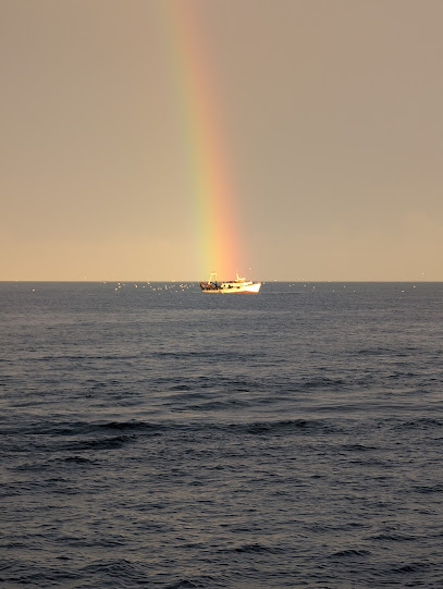 Ghazaouet