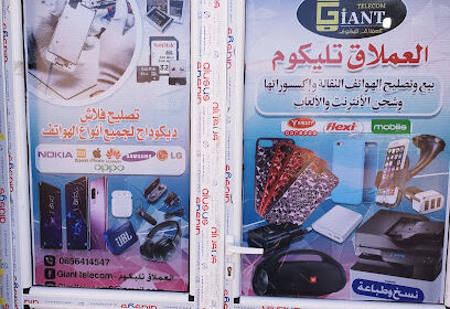 Giant Telecom