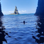 Grotte marine (Cap Figalo)