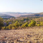 Gtaya charef