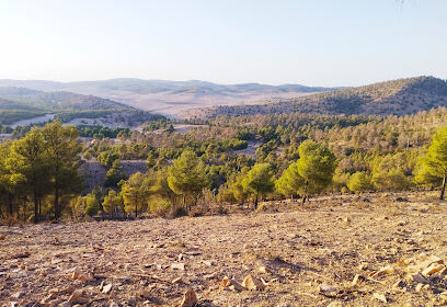 Gtaya charef