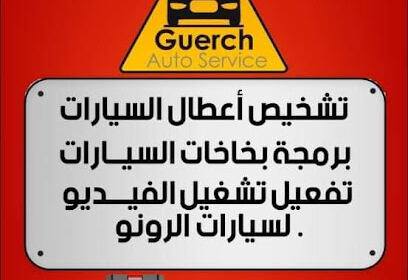 Guerch Scanner Auto