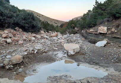 Hammam Dalaa