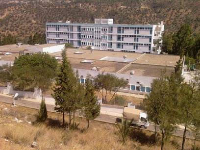 Hôpital Rachid-Belhocine