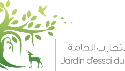 Jardin Botanique du Hamma/jardin d&rsquo;essai
