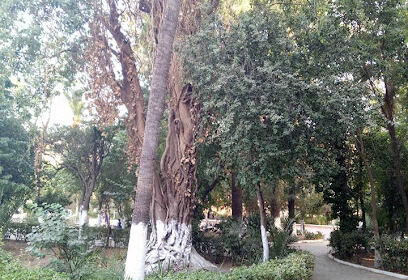 Jardin Patrice Lumumba