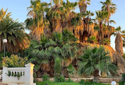 Jardin Petit Vichy