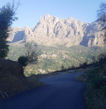 Keddari Yahia