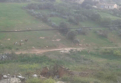 Khenansa mazouna