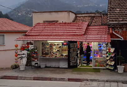 Kiosque multi services MARIO