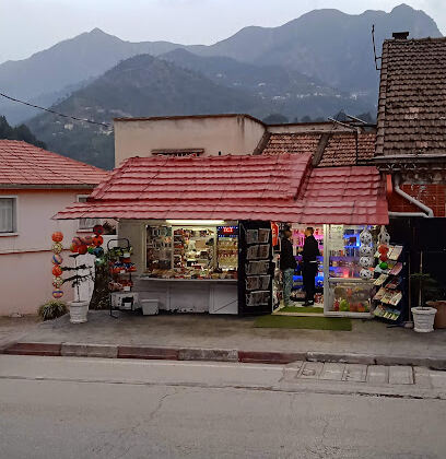 Kiosque multi services MARIO