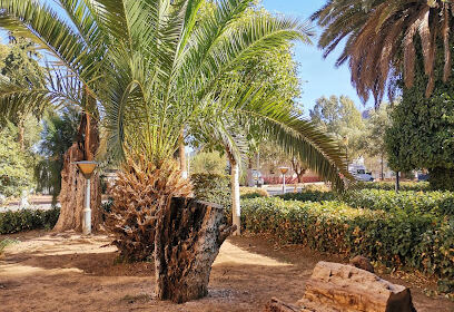 La nouvelle urgence tlemcen