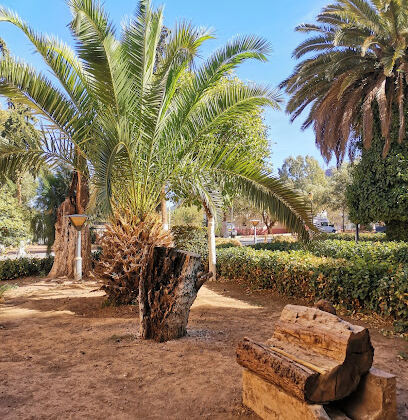 La nouvelle urgence tlemcen