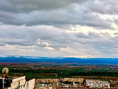Maghnia